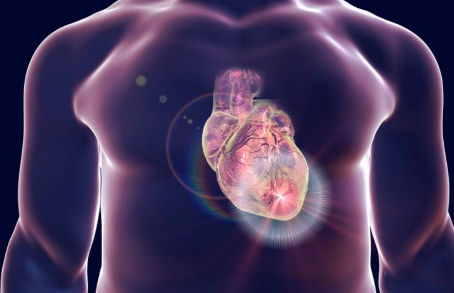 Инфаркт може да се спречи – телото ве предупредува преку овие симптоми