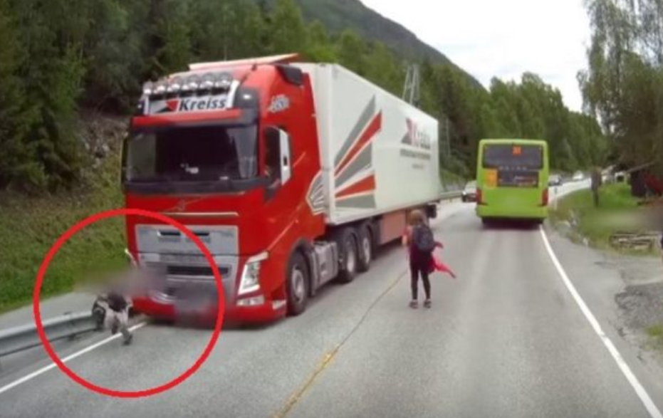 ВИДЕО: Детенце излезе од училишен автобус и се затрча под камион