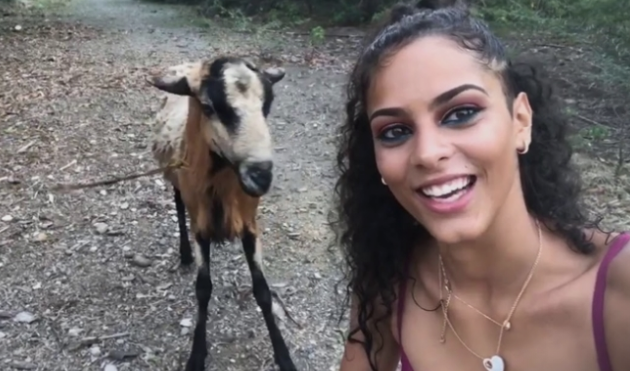 ВИДЕО: Убава девојка сакаше да направи селфи со коза- но видете што и се случи