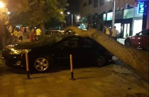 НАЈНОВА ВЕСТ: Повредено е дете откако дрво падна во центарот на Скопје (ФОТО)