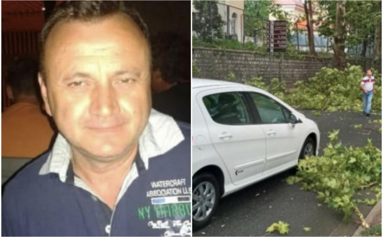 ТРАГЕДИЈА: Виктор дошол од Германија на одмор, загина откако дрво падна врз него во градот Бихаќ