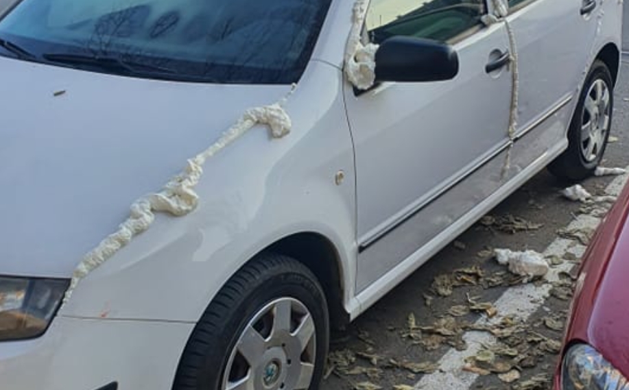 ЗА СЕКАКВА ОСУДА: Љубица Јанчева од СДСМ утрово се шокираше кога го виде својот автомобил! (ФОТО)