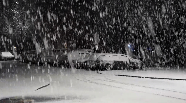 Доѓа ли снегот кон Македонија: Делови од Словенија оковани во снег, глетката е нереална (ФОТО ГАЛЕРИЈА)