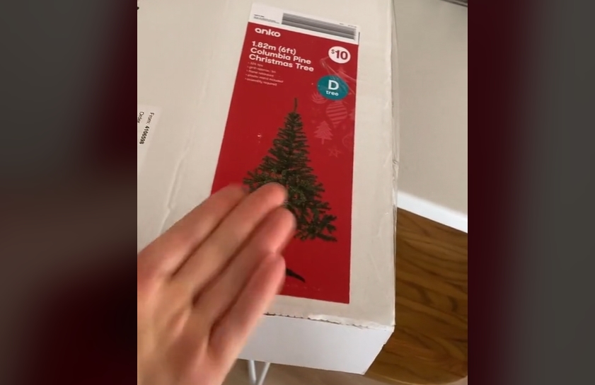 ФОТО: Нарачала новогодишна елка преку интернет, кога го отворила пакетот се шокирала