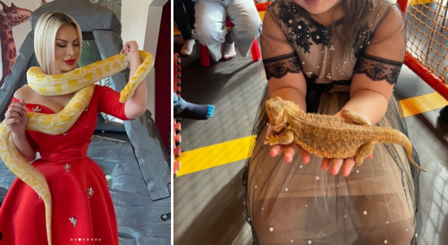 Змии, гуштери и други несекојдневни гости: Агнеса се пофали со луксузниот роденден на нејзината ќерка (ФОТО)