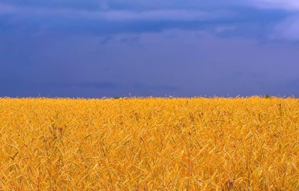 ФОТО: Знаете ли што всушност симболизира украинското знаме?