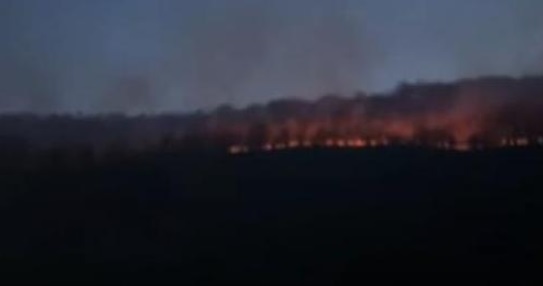 НАЈНОВА ВЕСТ: Голем пожар вечерва во Македонија, огнот брзо се шири поради силниот ветер