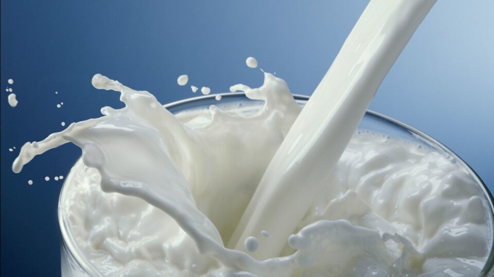 ШОК ЗА ГРАЃАНИТЕ: Драстичен раст на цените на млекото во Македонија- еден литар достигна цена до 70 денари!