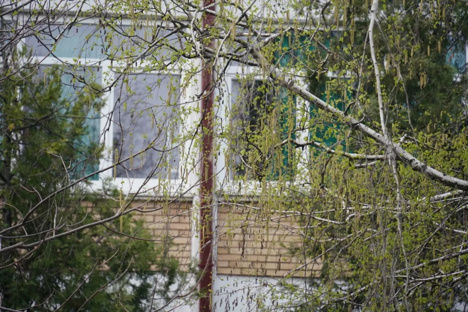 ГОЛЕМА ТРАГЕДИЈА: Осмооделенец скокна низ прозорец и загина на лице место- неговата мајка била во училиштето