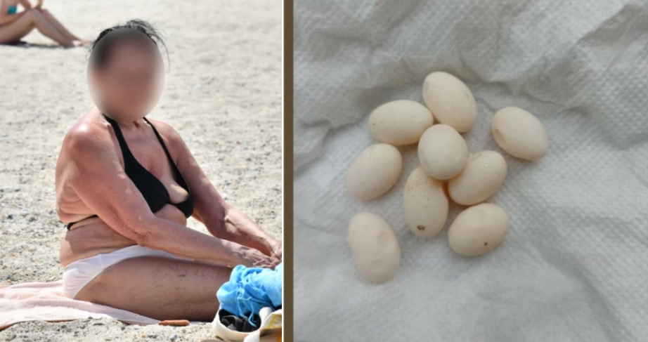 Мила нашла необични јајца во песокот: „Враќај ги веднаш од каде што си ги зела!“ (ФОТО)