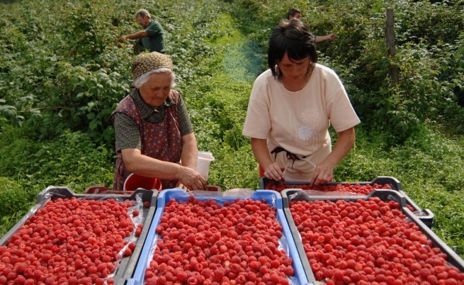 24 годишна девојка од Скопје: Дневницата е 50 евра, но работата е кошмар