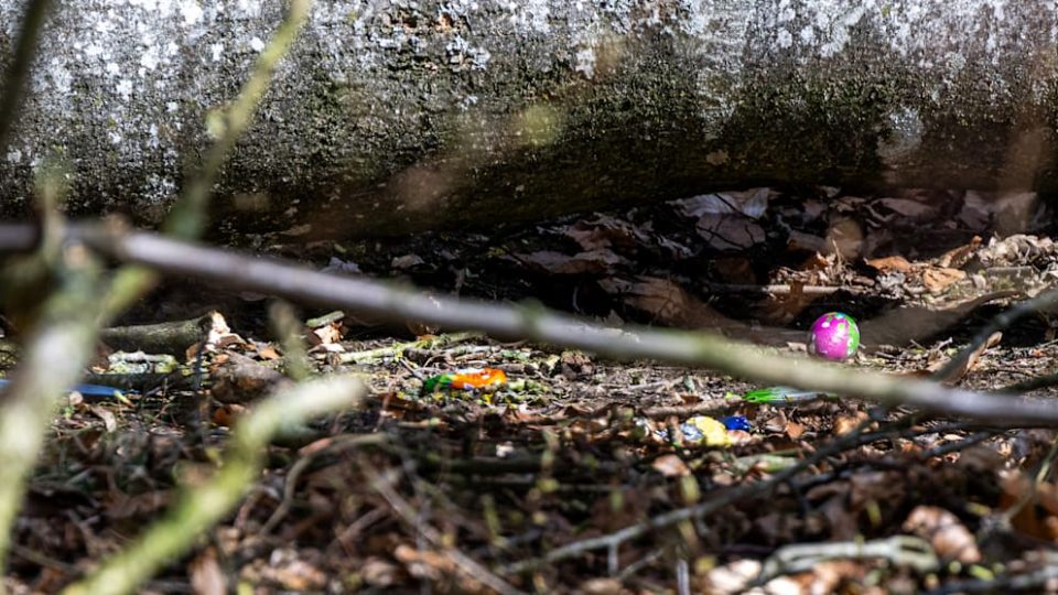 Велигденска трагедија утрово во Германија: Мајка (21), бебе и 16 годишно девојче загинаа во невидена несреќа (ФОТО)